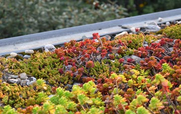 the cost of Thornhaugh green roof installation