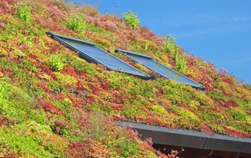 Thornhaugh living roof systems